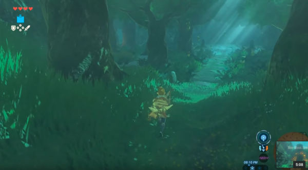 Korok Forest BOTW